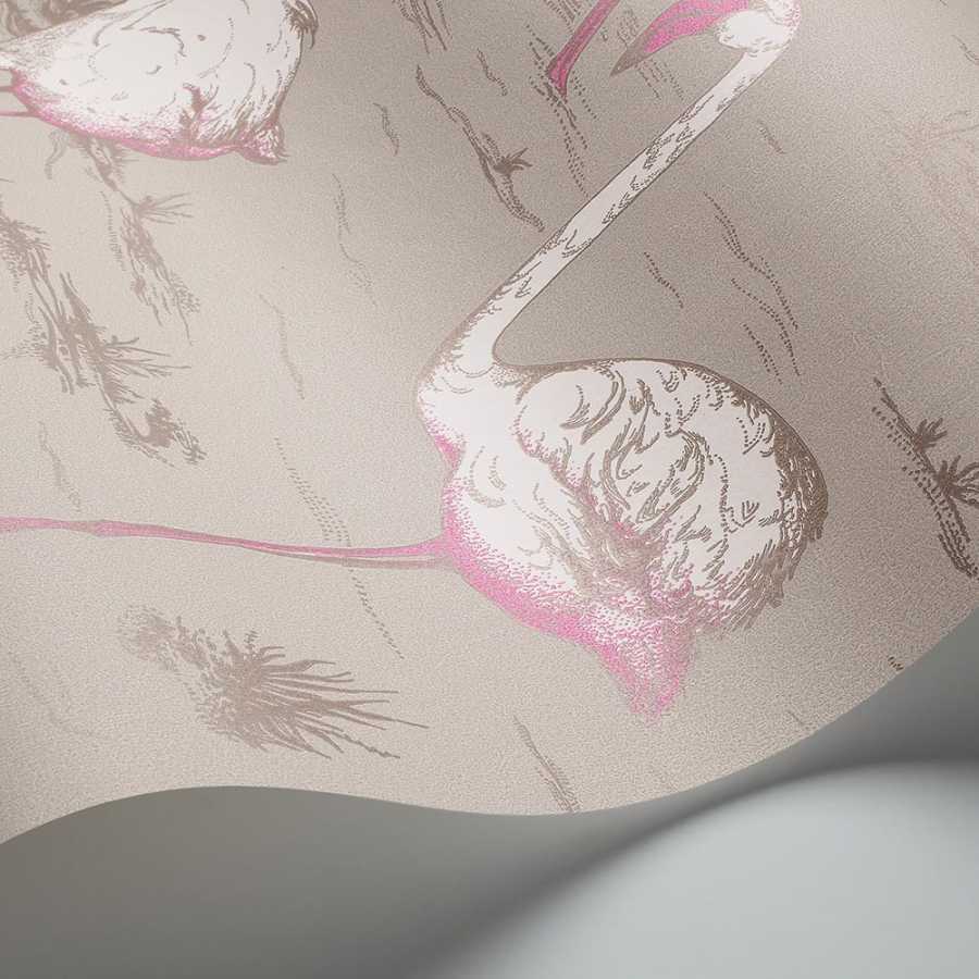 Cole and Son New Contemporary Flamingos 66/6042 Wallpaper