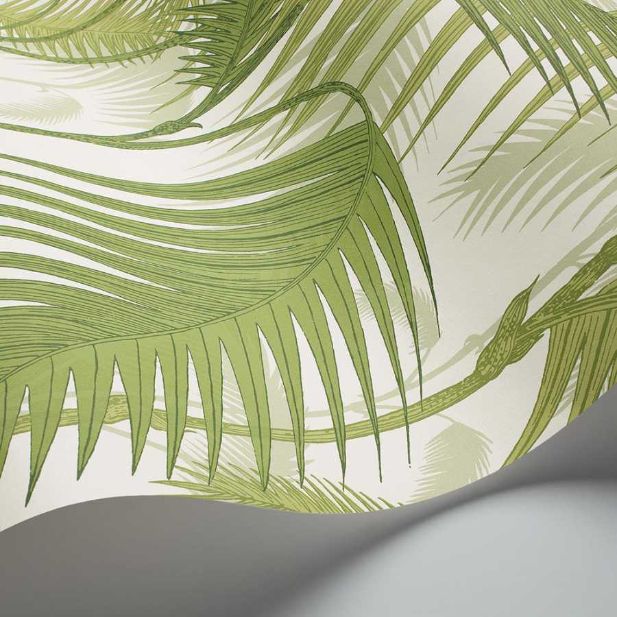 Cole and Son Contemporary Restyled Palm Jungle 95/1001 Wallpaper