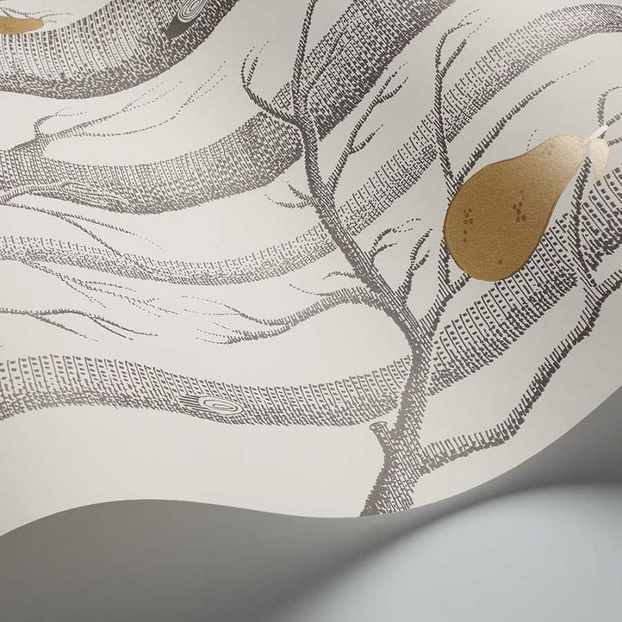 Cole and Son Contemporary Restyled Woods and Pears 95/5032 Wallpaper