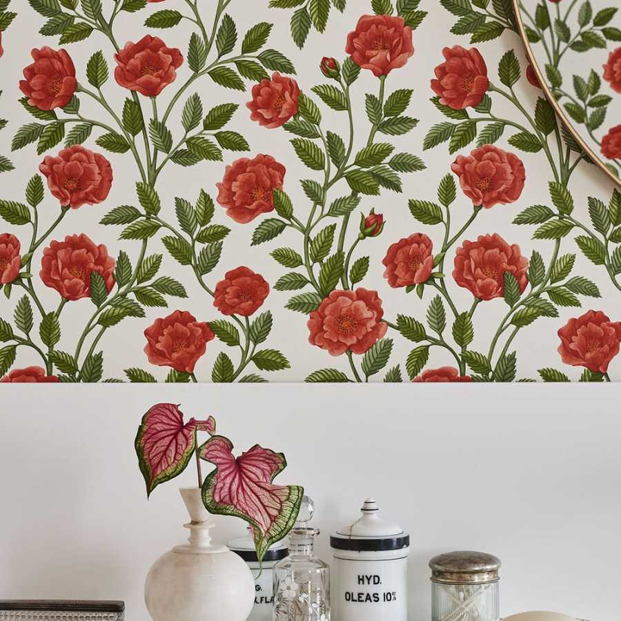 Cole and Son Great Masters Hampton Roses 118/7013 Wallpaper