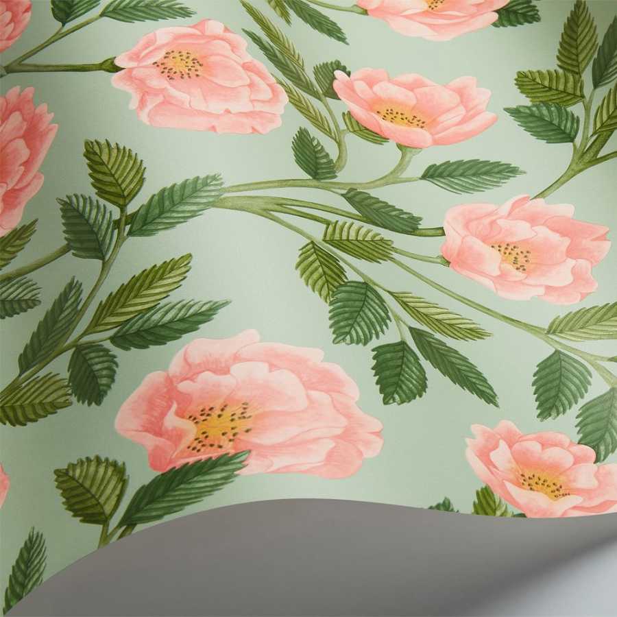 Cole and Son Great Masters Hampton Roses 118/7014 Wallpaper