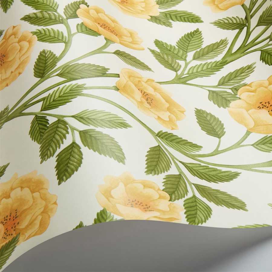 Cole and Son Great Masters Hampton Roses 118/7015 Wallpaper