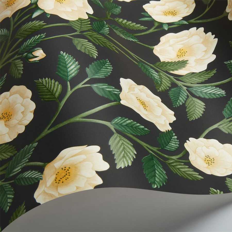 Cole and Son Great Masters Hampton Roses 118/7016 Wallpaper