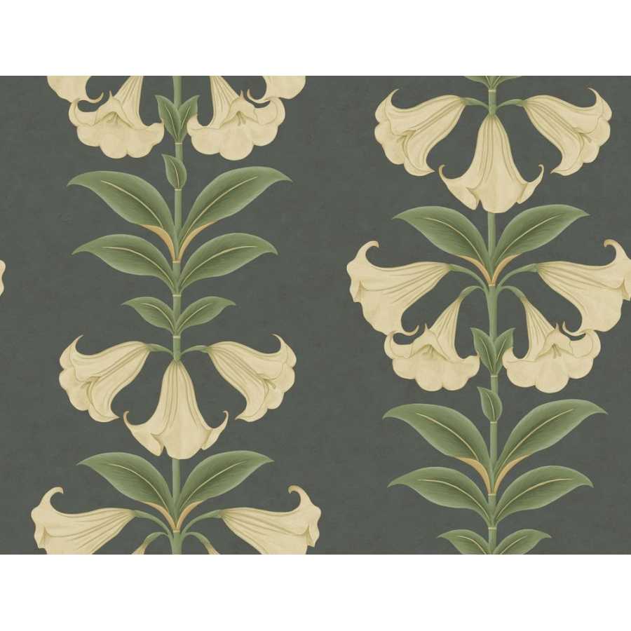 Cole and Son Seville Angels Trumpet 117/3006 Wallpaper
