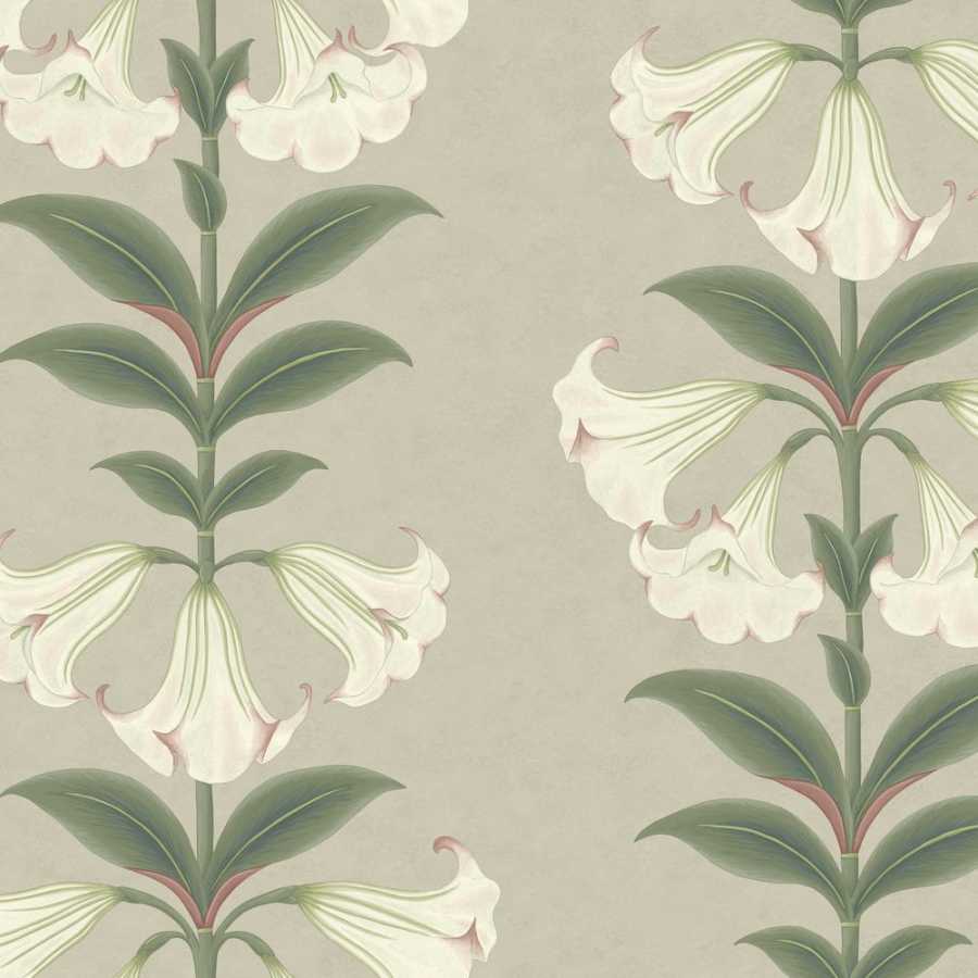 Cole and Son Seville Angels Trumpet 117/3007 Wallpaper