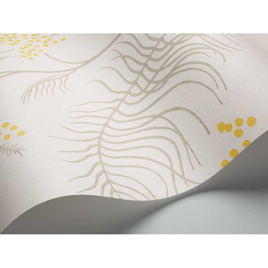 Cole and Son New Contemporary II Mimosa 69/8132 Wallpaper