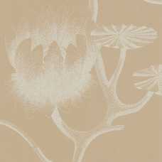 Cole and Son New Contemporary II Lily 69/3113 Wallpaper