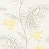 Cole and Son New Contemporary II Mimosa 69/8132 Wallpaper