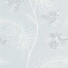 Cole and Son New Contemporary II Mimosa 69/8133 Wallpaper