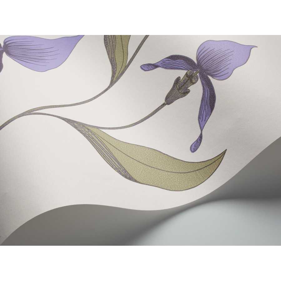 Cole and Son New Contemporary Orchid 66/4024 Wallpaper