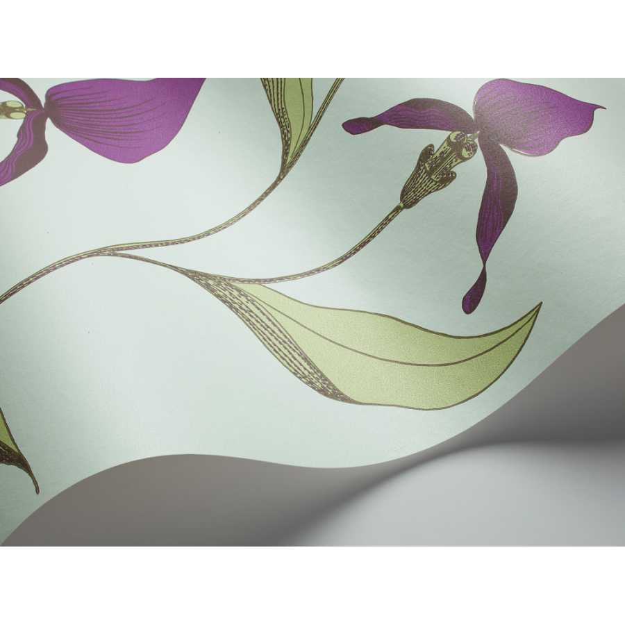 Cole and Son New Contemporary Orchid 66/4027 Wallpaper