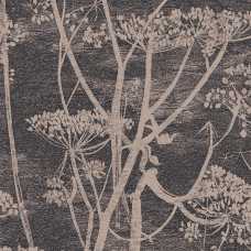 Cole and Son New Contemporary Cow Parsley 66/7048 Wallpaper