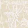 Cole and Son New Contemporary Cow Parsley 66/7049 Wallpaper