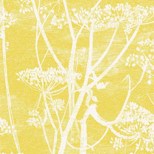 Cole and Son The Contemporary Collection Cow Parsley 66/7051 Wallpaper