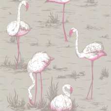 Cole and Son The Contemporary Collection Flamingos 66/6042 Wallpaper