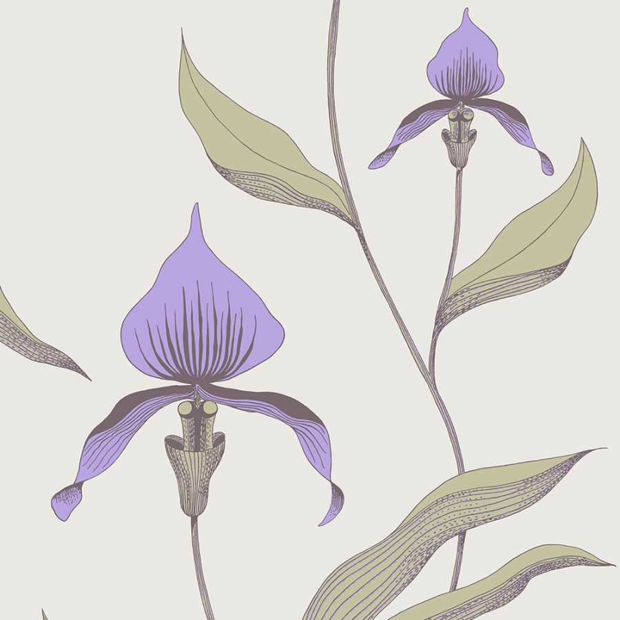 Cole and Son New Contemporary Orchid 66/4024 Wallpaper
