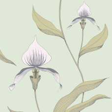 Cole and Son New Contemporary Orchid 66/4028 Wallpaper