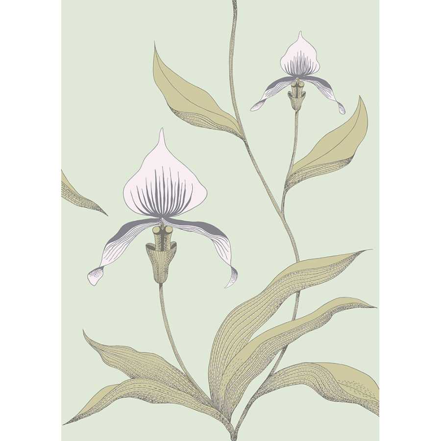 Cole and Son New Contemporary Orchid 66/4028 Wallpaper