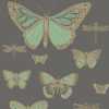 Cole and Son Whimsical Butterflies & Dragonflies 103/15067 Wallpaper