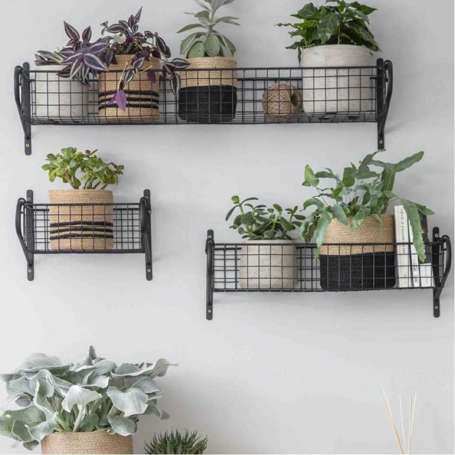 Garden Trading Wire Hanging Basket