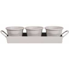 Garden Trading Tray Plant Pots - Set of 3