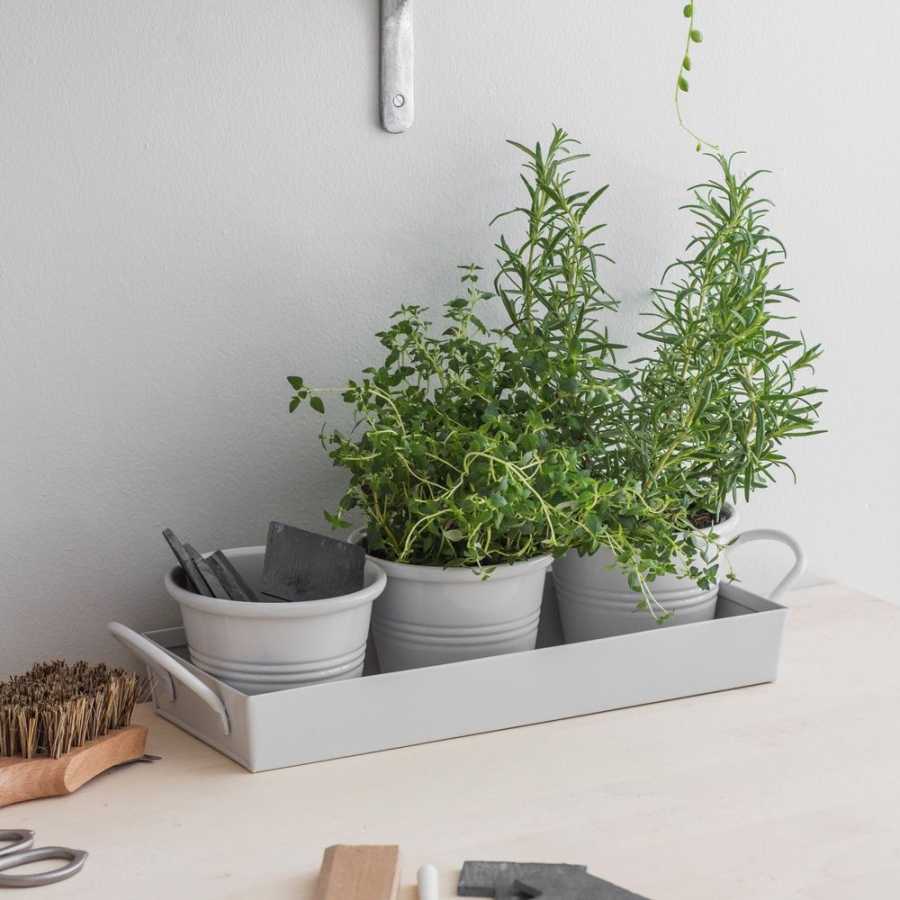 Garden Trading Tray Plant Pots - Set of 3