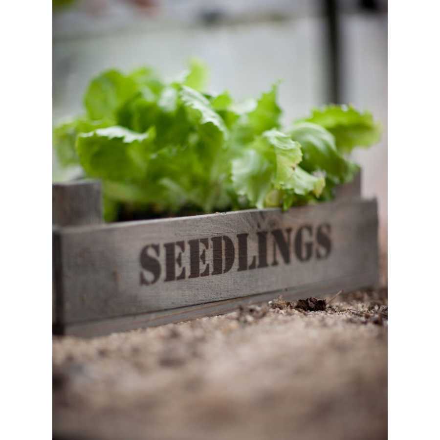 Garden Trading Wooden Seedlings Tray Garden Trading Wooden Seedlings Tray