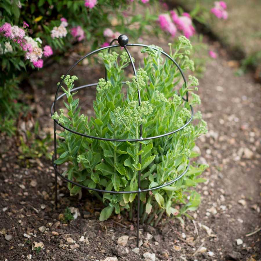 Garden Trading Barrington Domed Plant Support