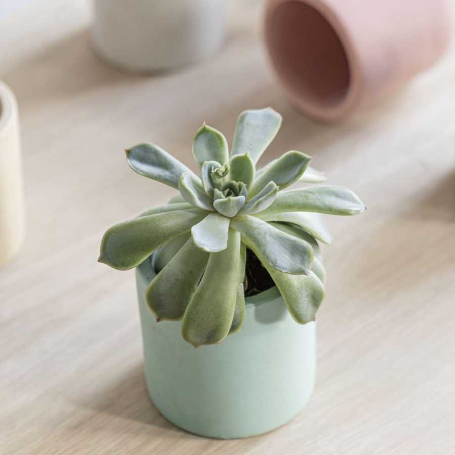 Garden Trading Bamburgh Plant Pot - Aqua - Small