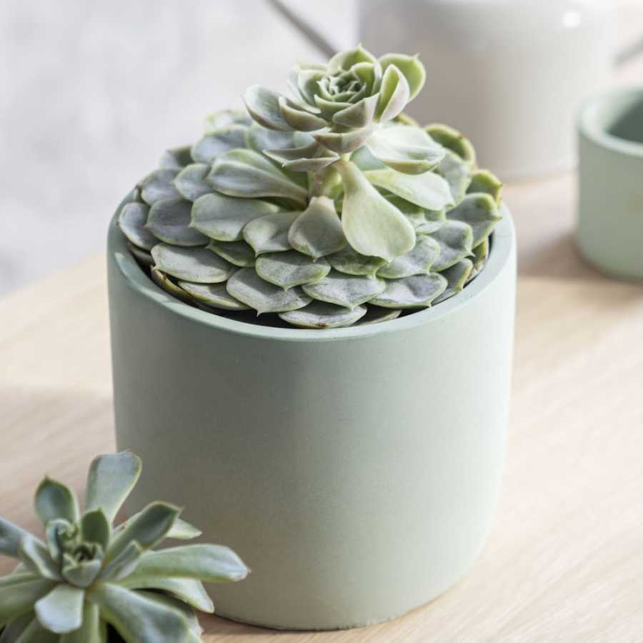 Garden Trading Bamburgh Plant Pot - Aqua - Medium