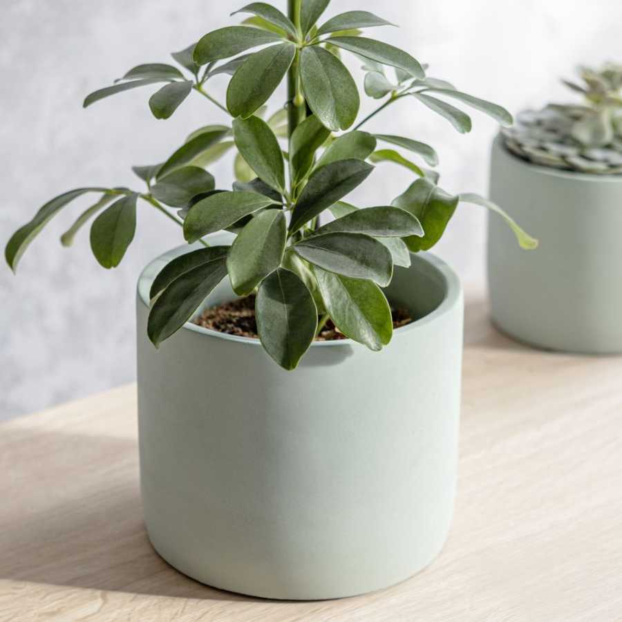 Garden Trading Bamburgh Plant Pot - Aqua - Large