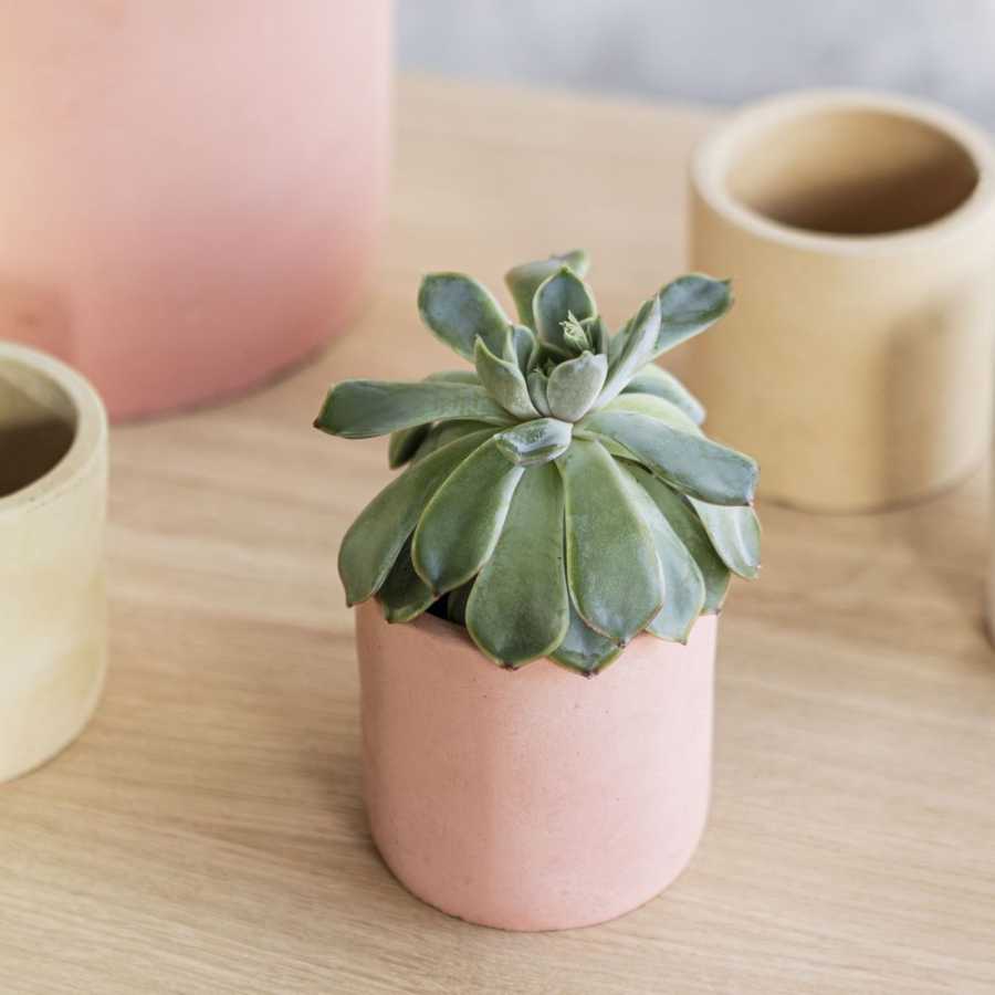 Garden Trading Bamburgh Plant Pot - Brick - Small