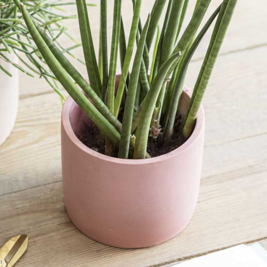 Garden Trading Bamburgh Plant Pot - Brick - Medium