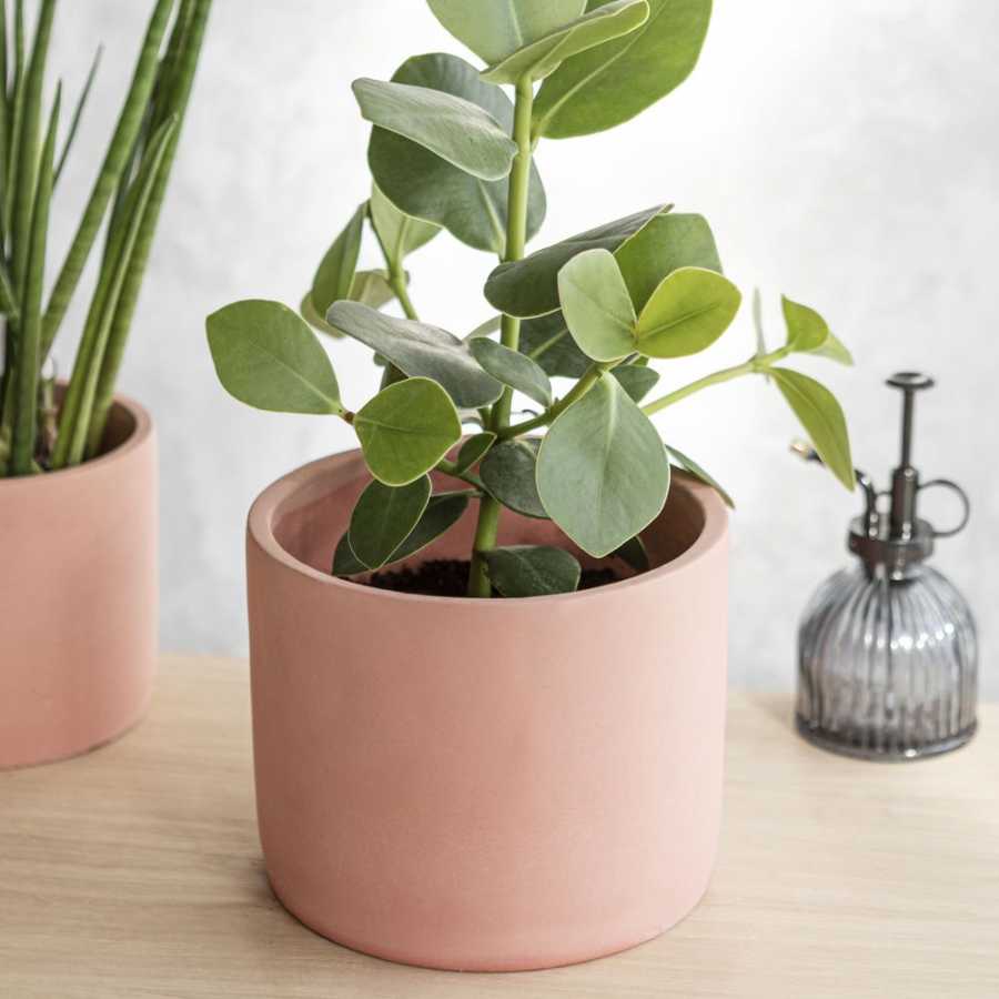 Garden Trading Bamburgh Plant Pot - Brick - Large