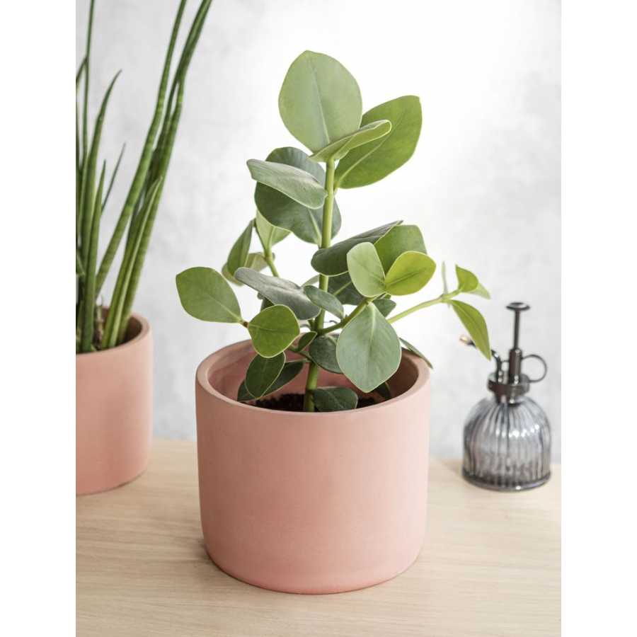Garden Trading Bamburgh Plant Pot - Brick - Large
