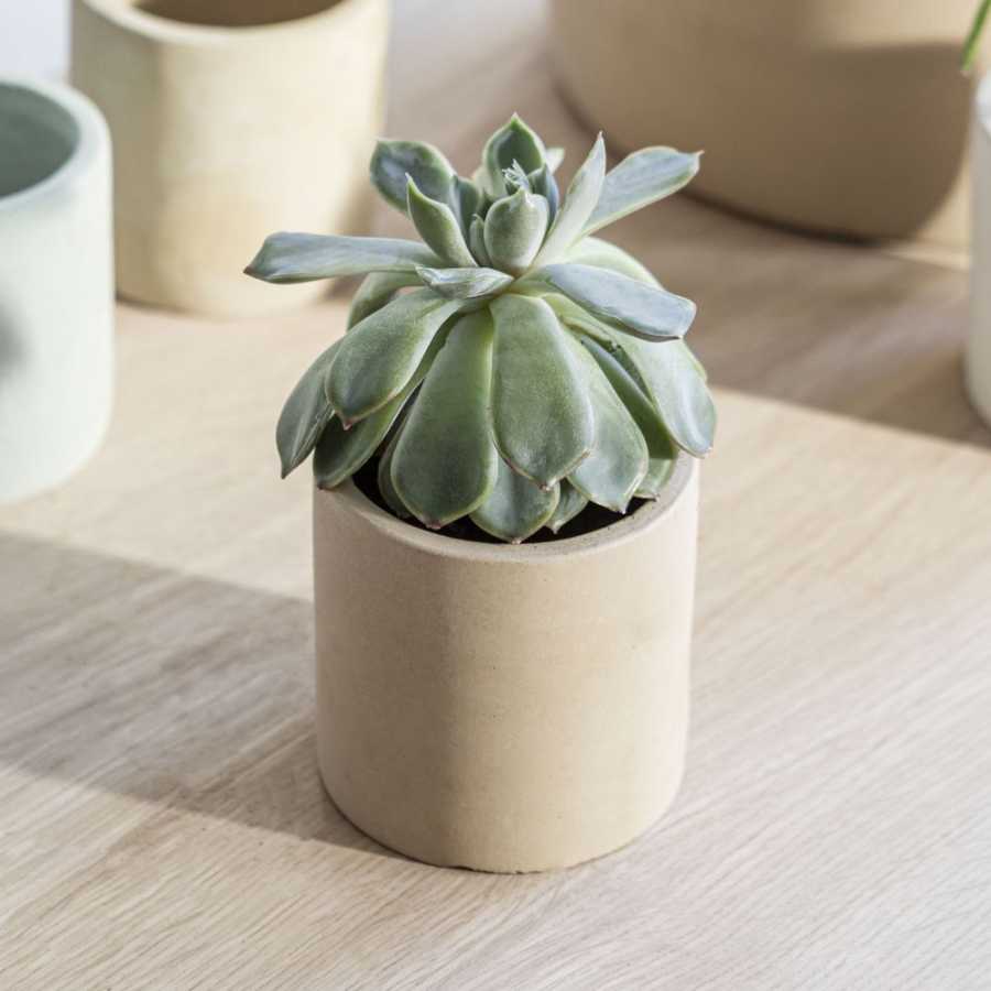 Small Garden Trading Bamburgh Plant Pot - Cinnamon - Small