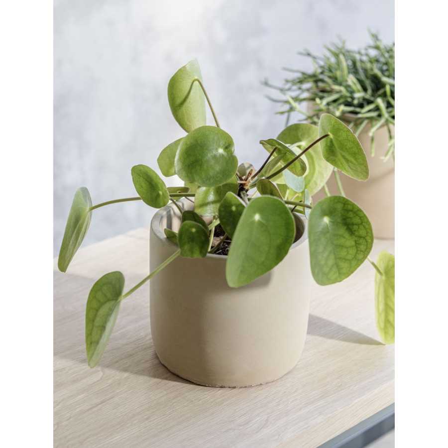 Medium Garden Trading Bamburgh Plant Pot - Cinnamon - Medium