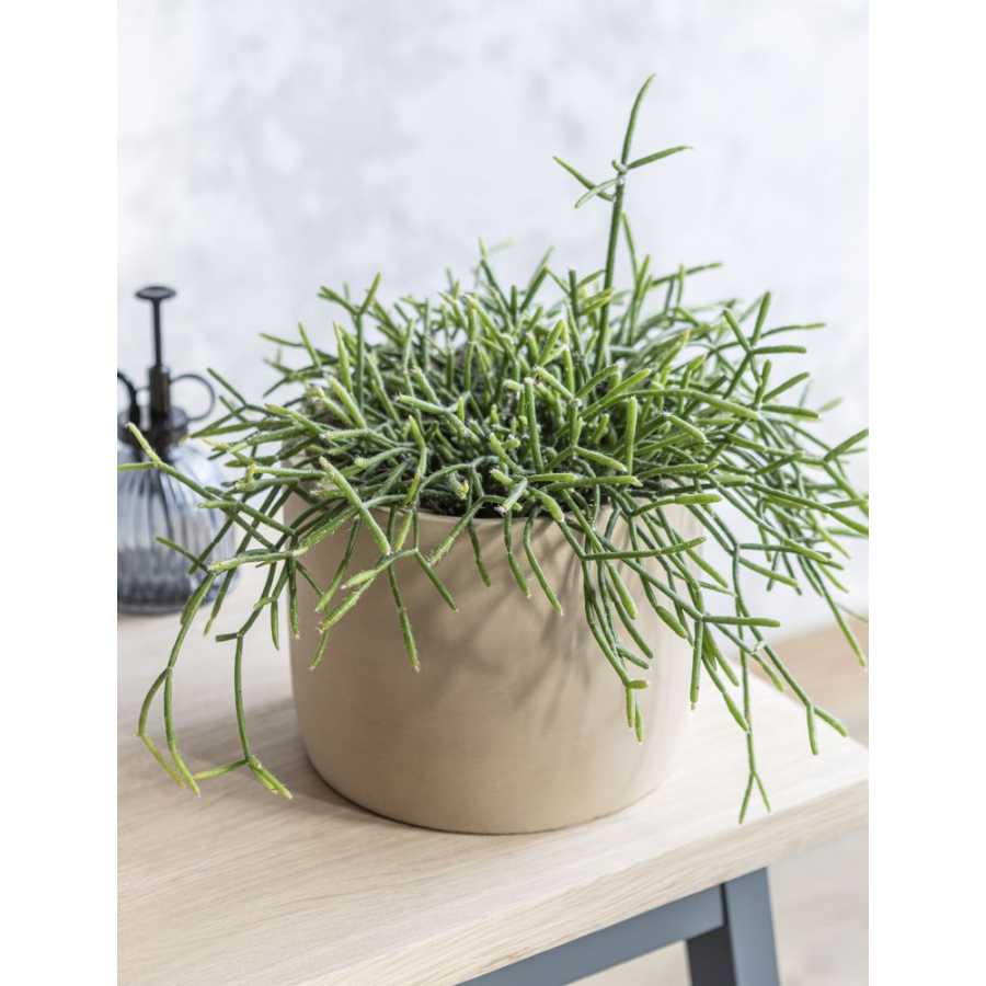 Large Garden Trading Bamburgh Plant Pot - Cinnamon - Large