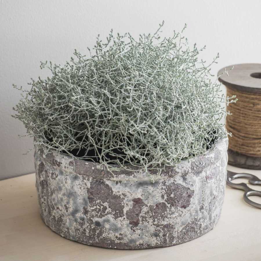 Garden Trading Withington Plant Pot