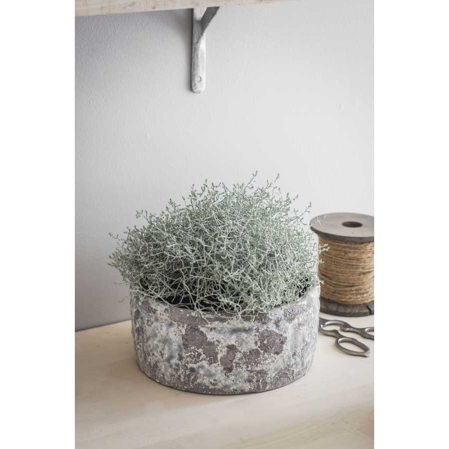 Garden Trading Withington Plant Pot