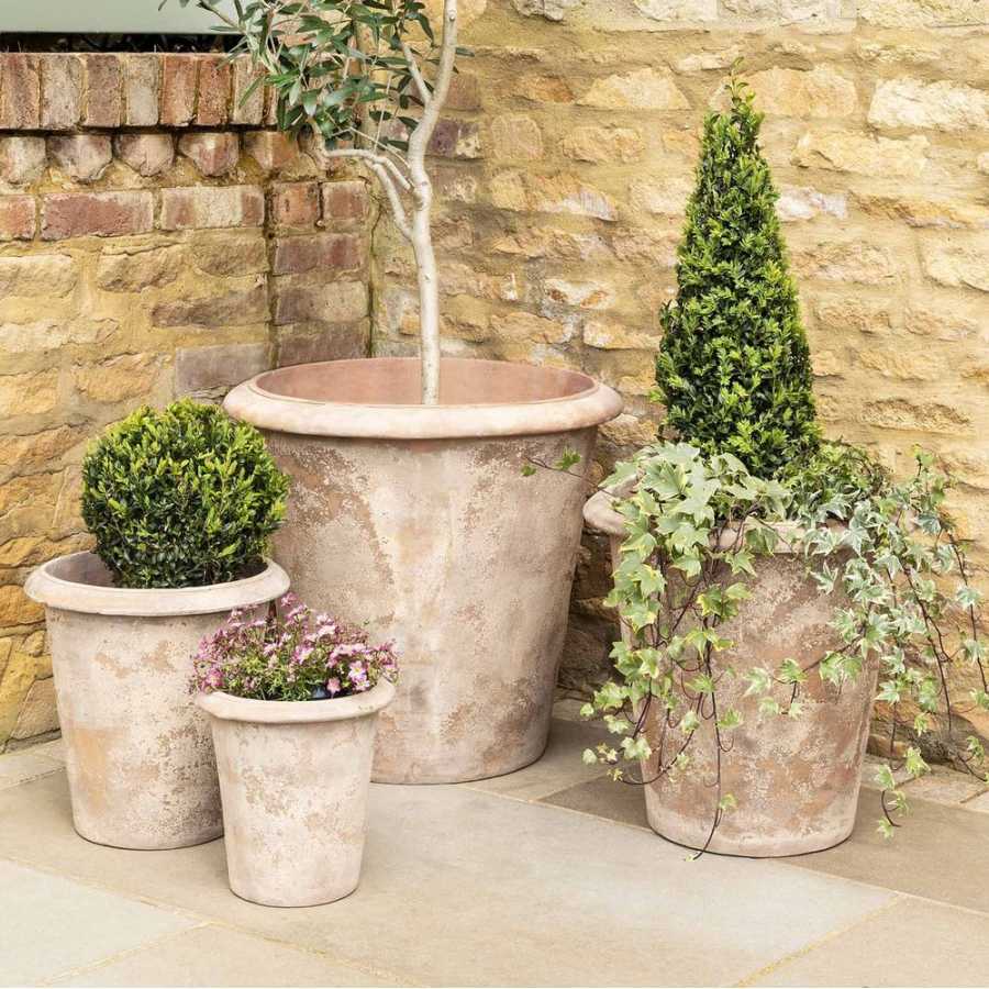 Garden Trading Orchard Planters - Set of 4