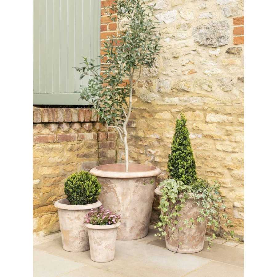 Garden Trading Orchard Planters - Set of 4