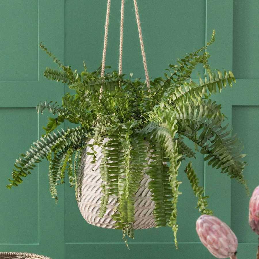 Garden Trading Bramdean Hanging Plant Pot