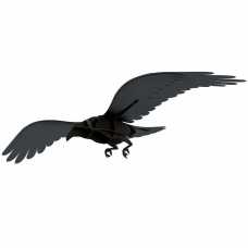 iBride Ravens Adam Decorative Raven