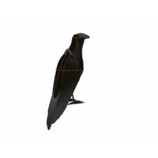 iBride Ravens Alfred Decorative Raven