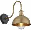 Industville Swan Neck Outdoor & Bathroom Dome Wall Light - 8 Inch - Brass