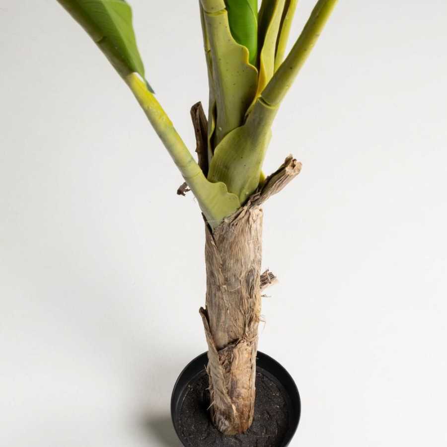 La Forma Flower Banana Tree Artificial Plant