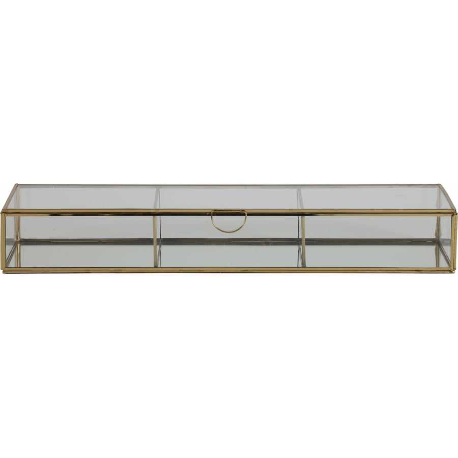 Light and Living Alessina Glass Storage Box - Gold