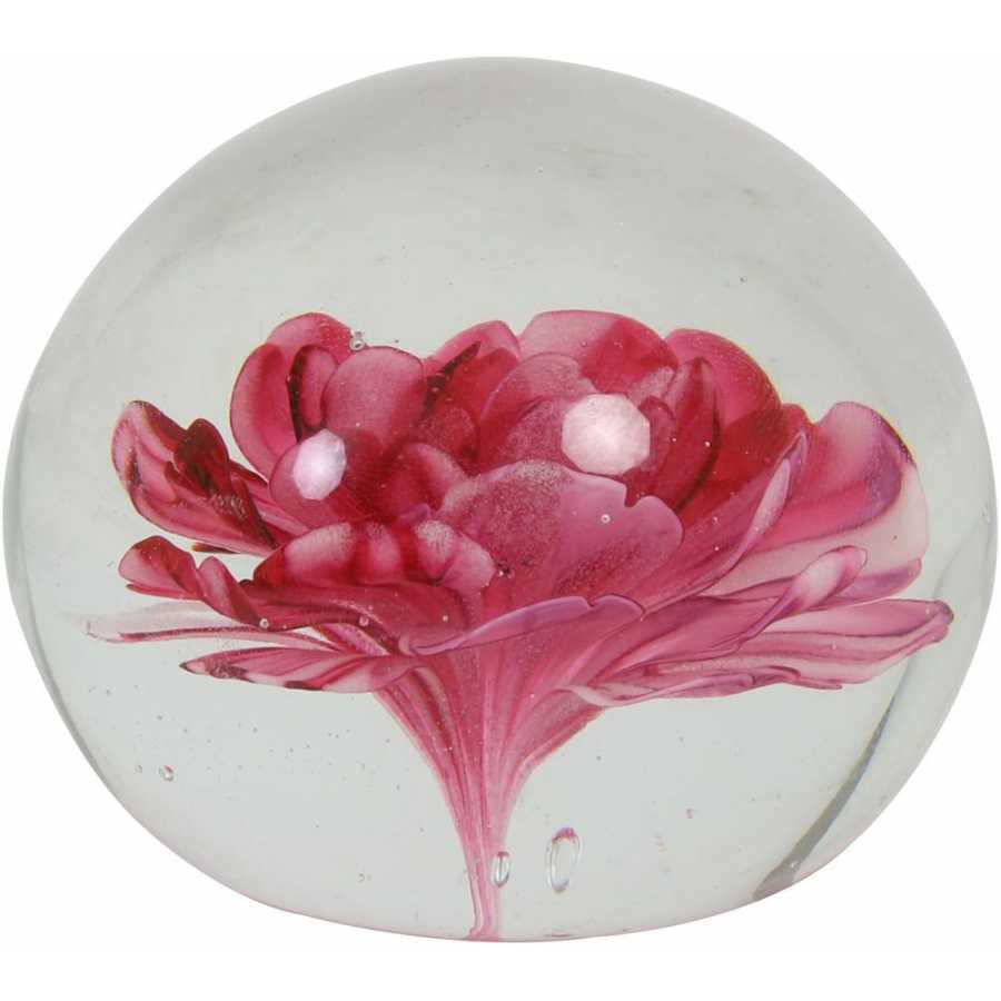 Light and Living Flower Ornament - Pink