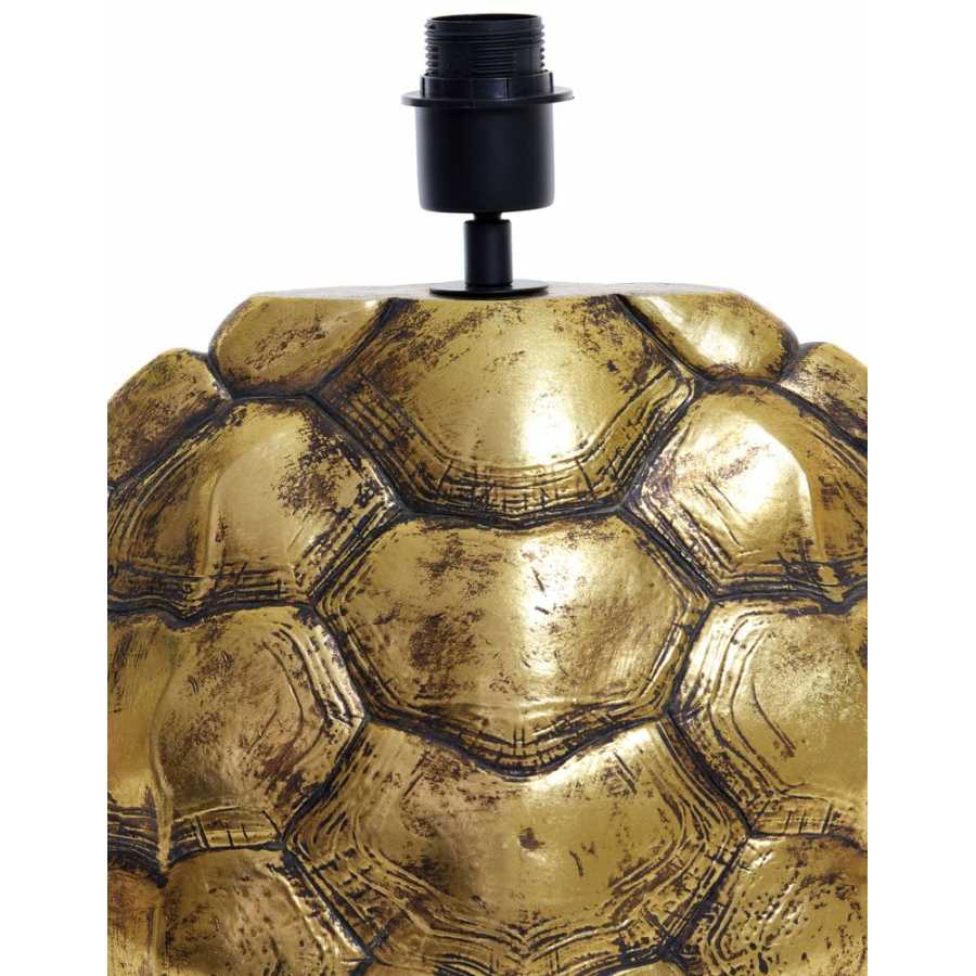 Light and Living Turtle Table Lamp Base - Bronze - Small